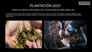 Plantación semillas 2023