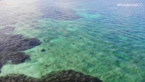 Formentera_Mar Mediaterráneo. Praderas de posidonia