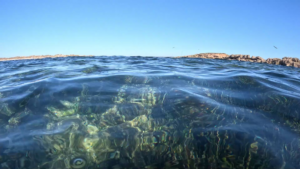 Mar Mediterráneo_Formentera