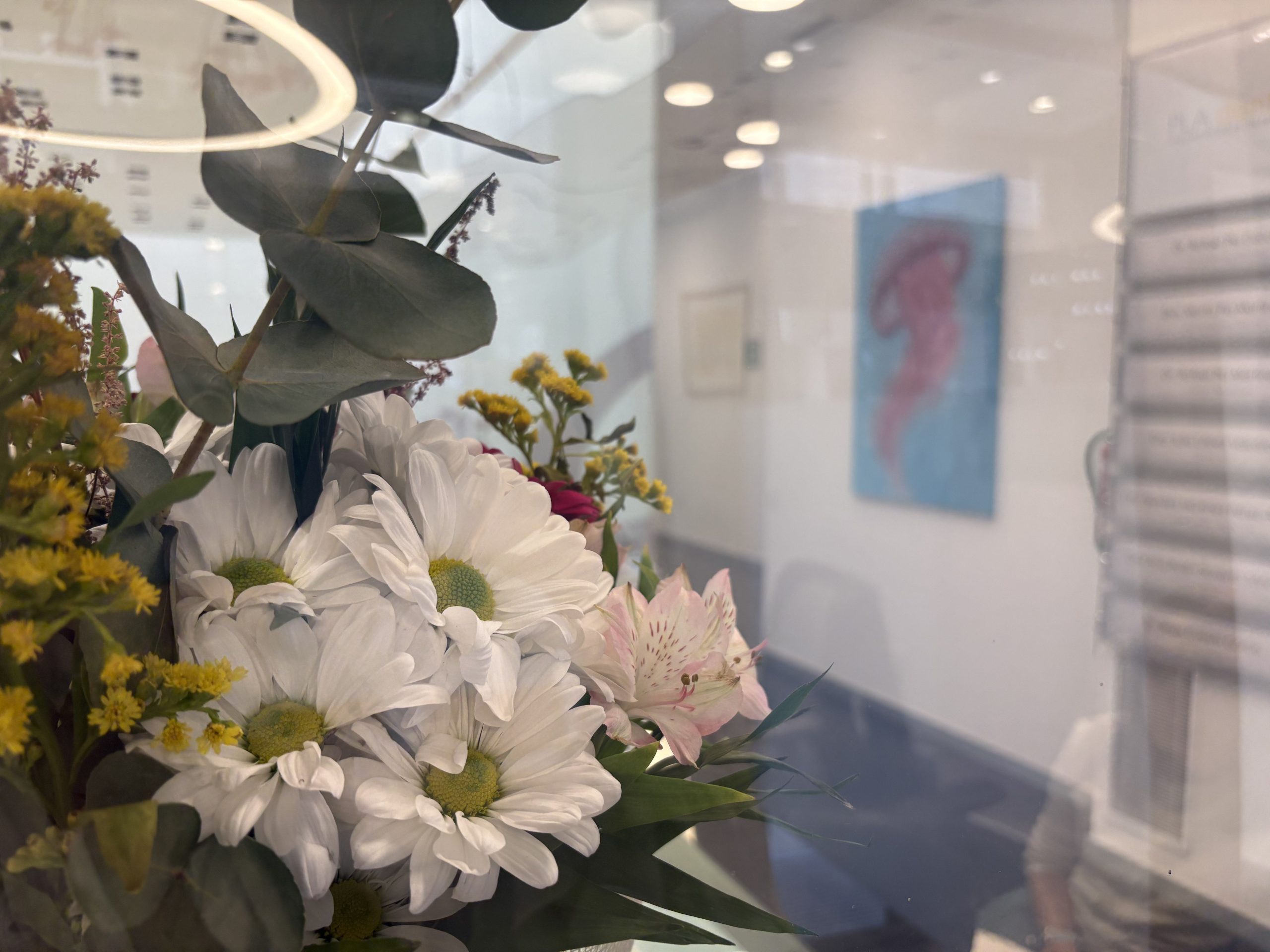 Primavera en la clínica PLA dental