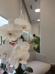 Primavera en la clínica PLA dental