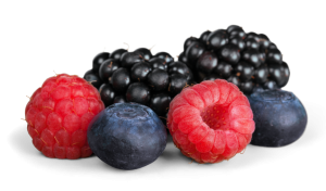 FRUTOS ROJOS